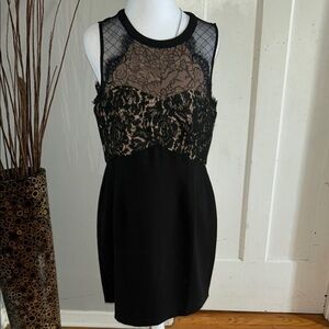 Greilyn .Black and Lace Sleeveless Dress